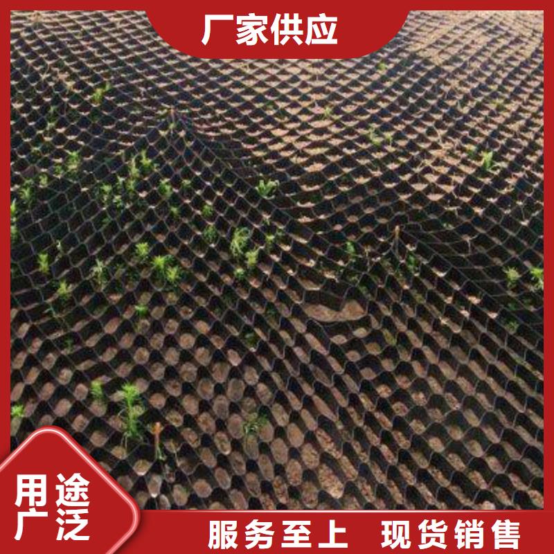 土工格室-塑料土工格栅设计制造销售服务一体