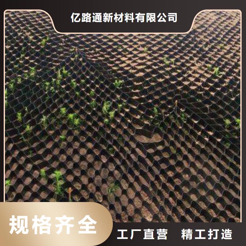 土工格室玻纤土工格栅生产厂家