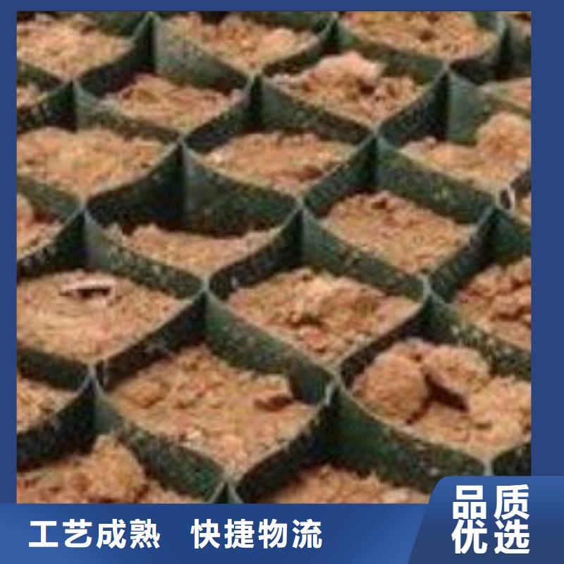 土工格室三维土工网垫从源头保证品质