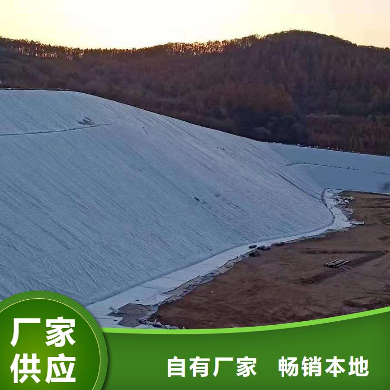 三维复合排水网凸结点钢塑土工格栅批发货源