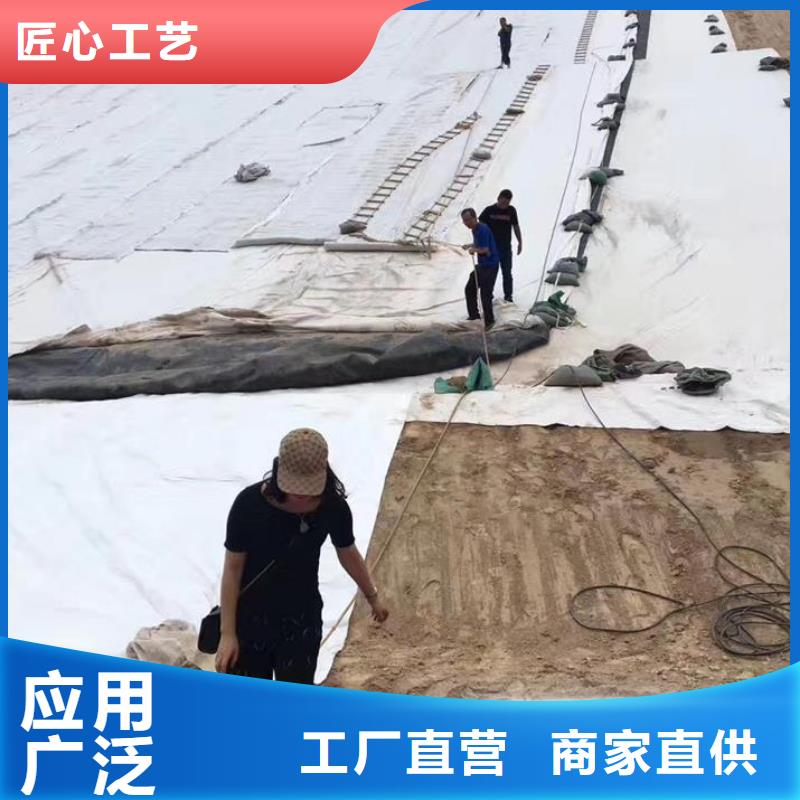 三维复合排水网凸结点钢塑土工格栅批发货源