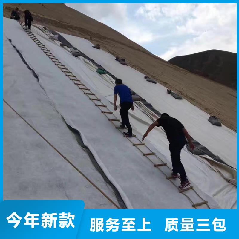 三维复合排水网反滤土工布发货迅速