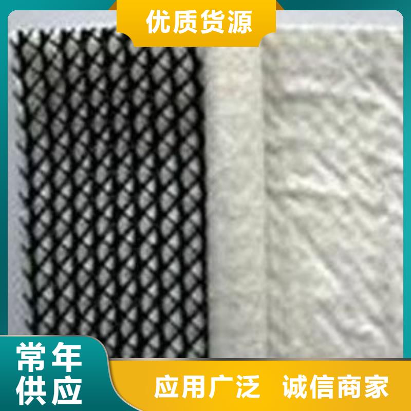 亿路通透水土工布【三维复合排水网】单向塑料土工格栅一致好评产品szmyb.com