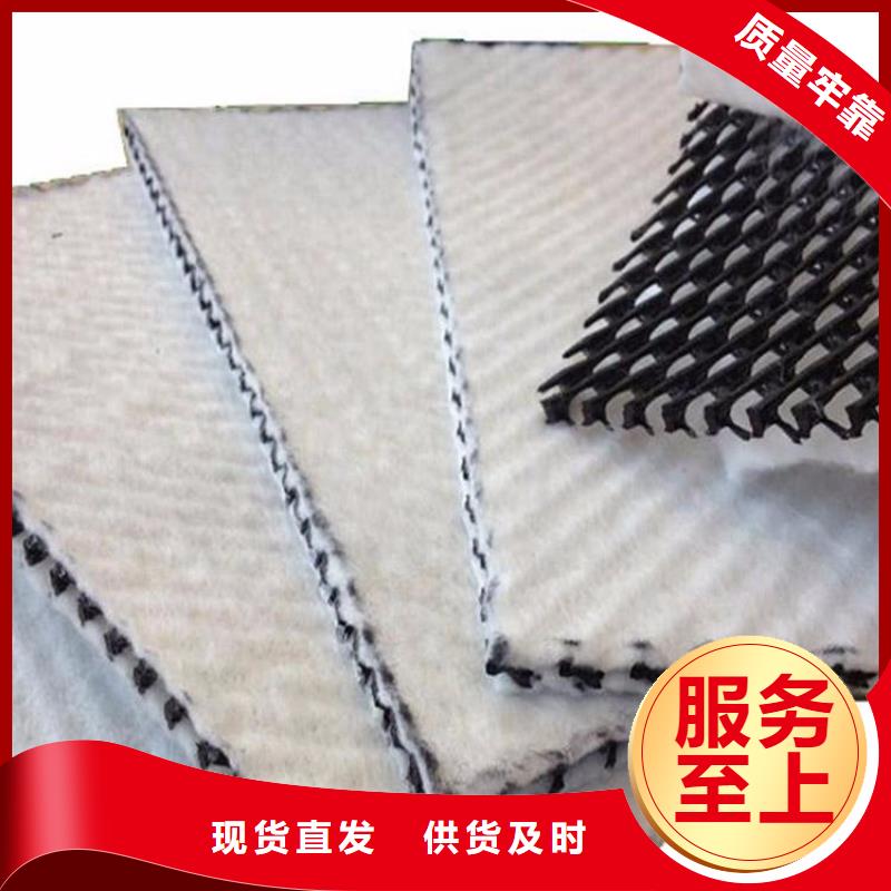 三维复合排水网_【三维土工网垫】现货销售