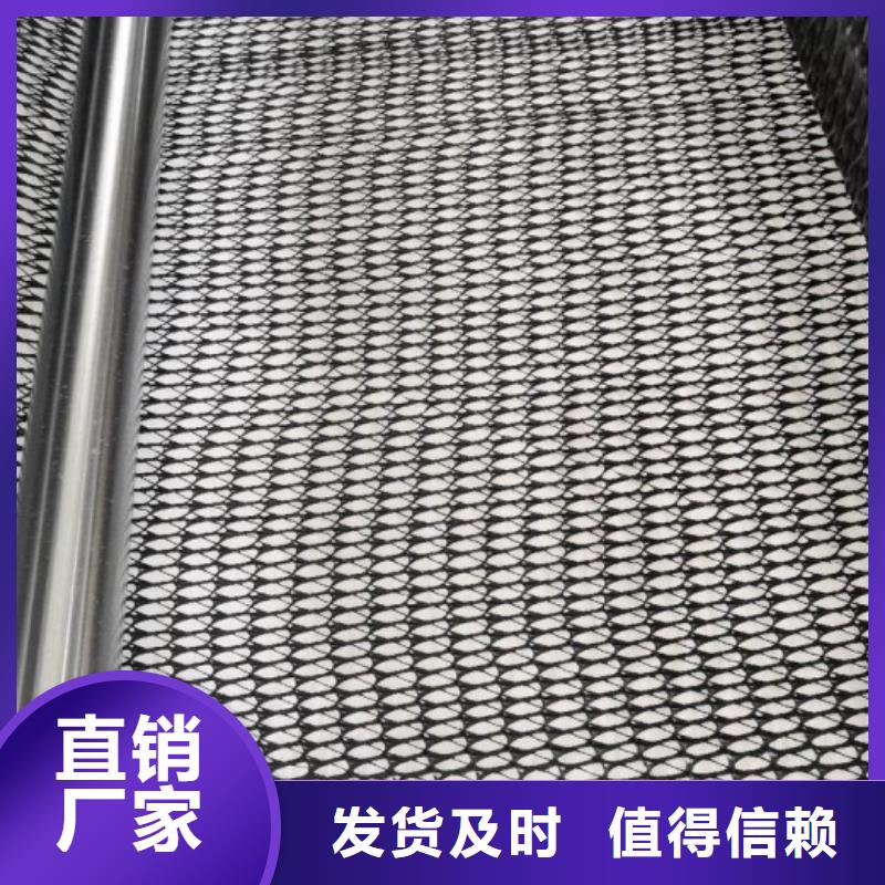 三维复合排水网_【三维土工网垫】现货销售