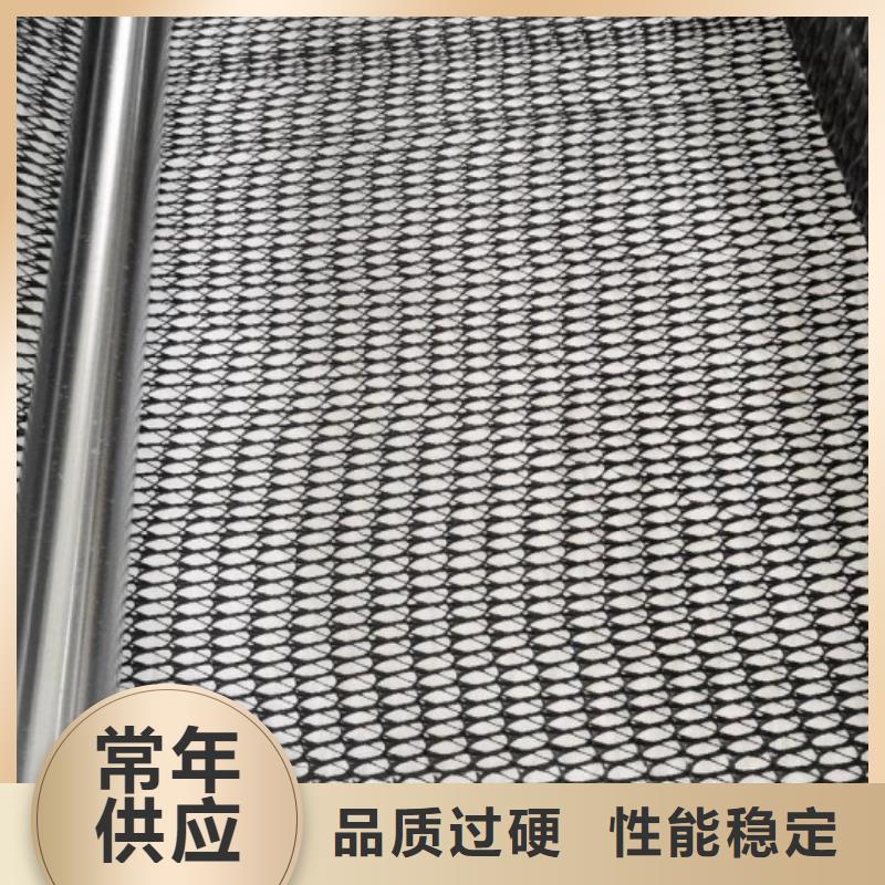 亿路通透水土工布【三维复合排水网】单向塑料土工格栅一致好评产品szmyb.com