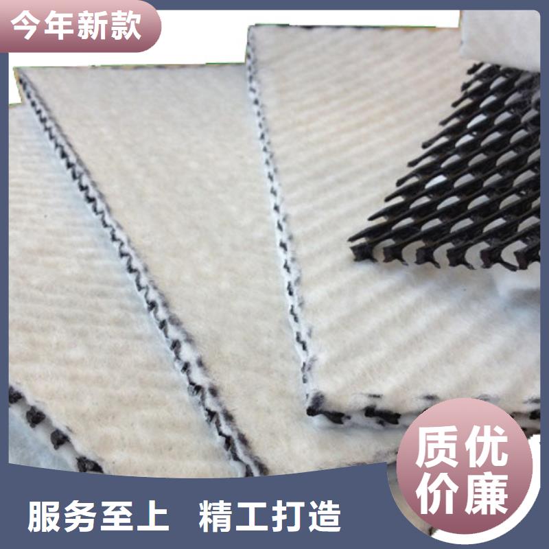 三维复合排水网_【三维土工网垫】现货销售