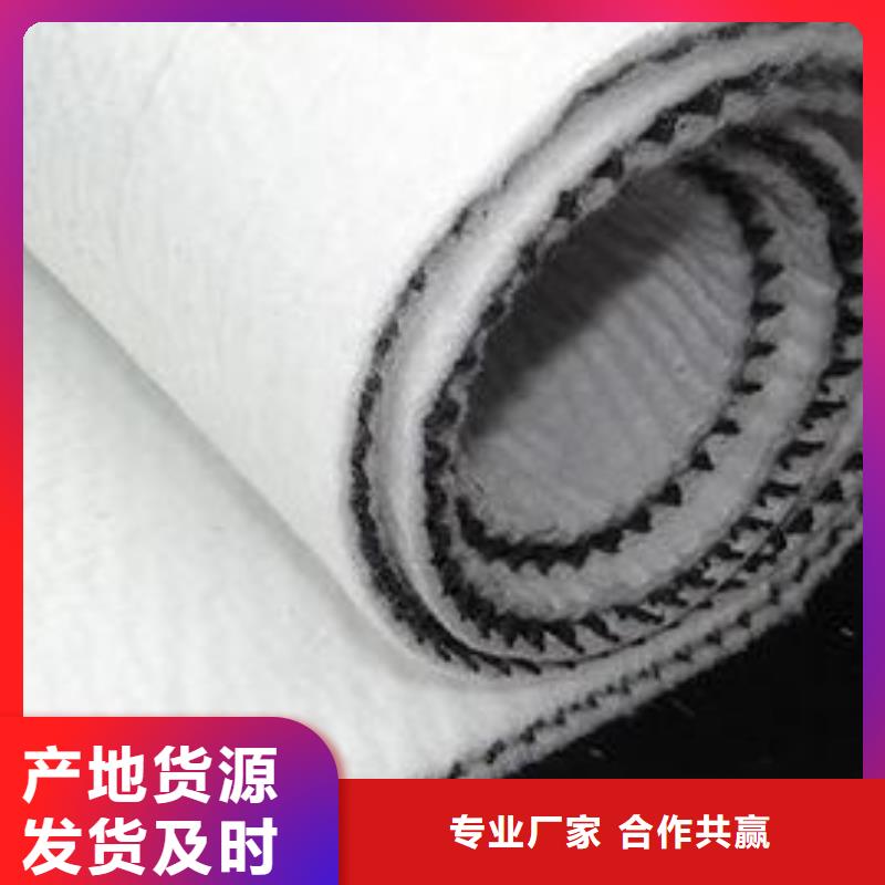 三维复合排水网反滤土工布发货迅速