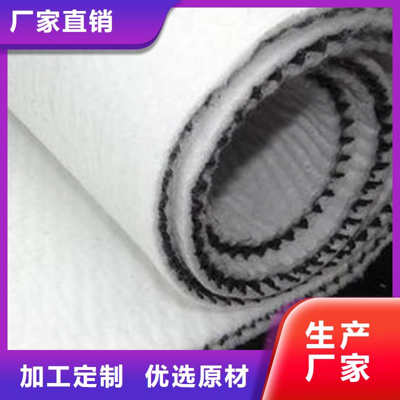 三维复合排水网土工席垫一个起售