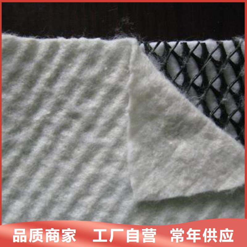 三维复合排水网_【三维土工网垫】现货销售