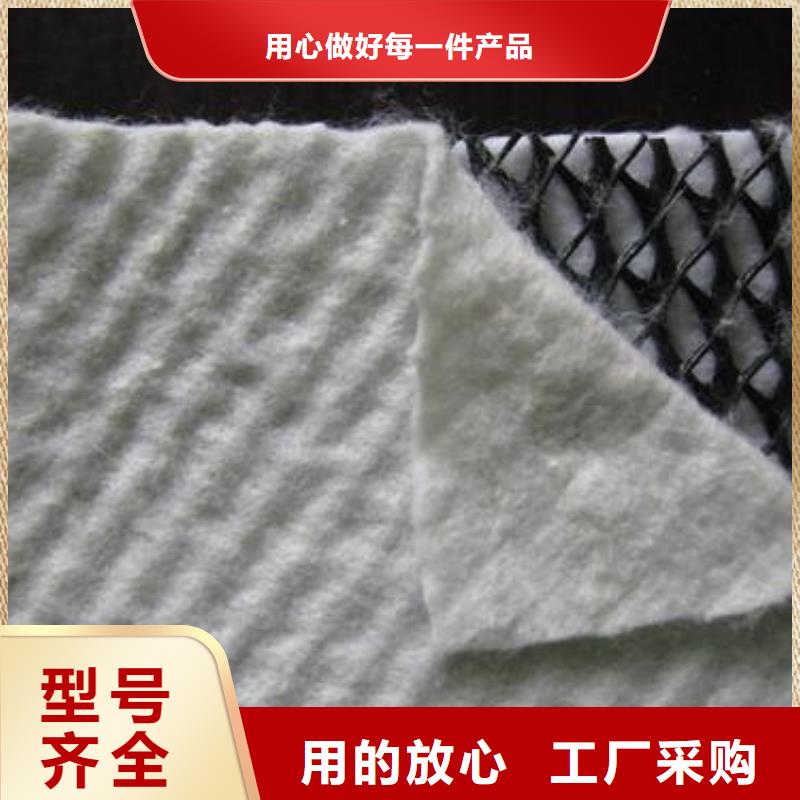 三维复合排水网_【三维土工网垫】现货销售