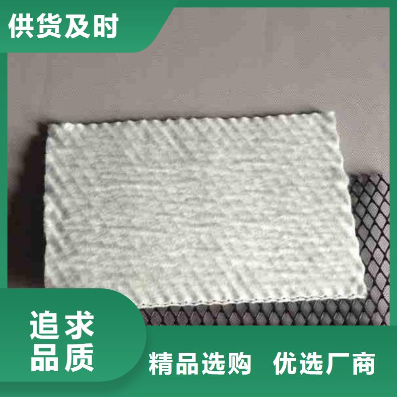 三维复合排水网_【三维土工网垫】现货销售