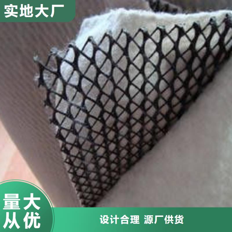 三维复合排水网_【三维土工网垫】现货销售