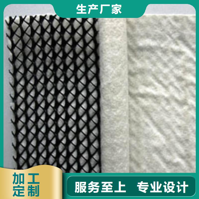 三维复合排水网凸结点钢塑土工格栅批发货源