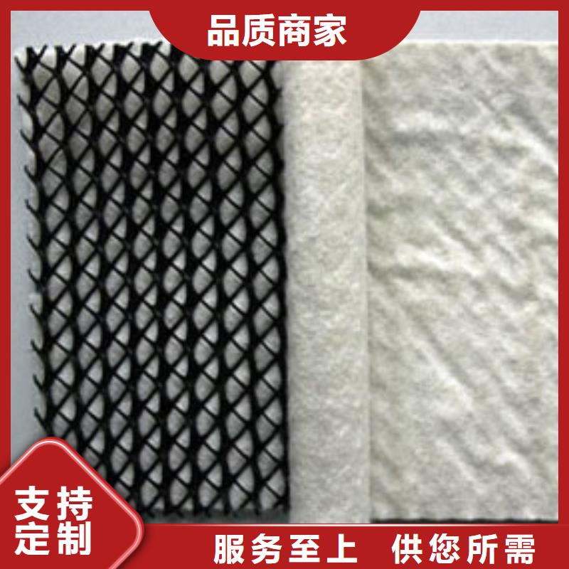 三维复合排水网_【三维土工网垫】现货销售
