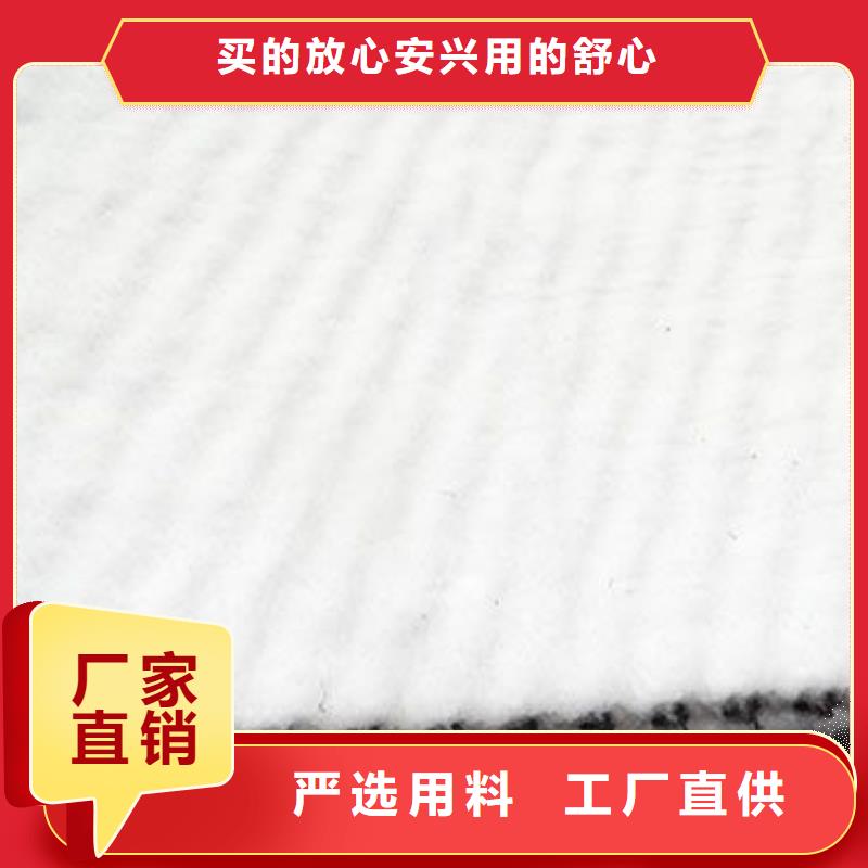 三维复合排水网_【三维土工网垫】现货销售