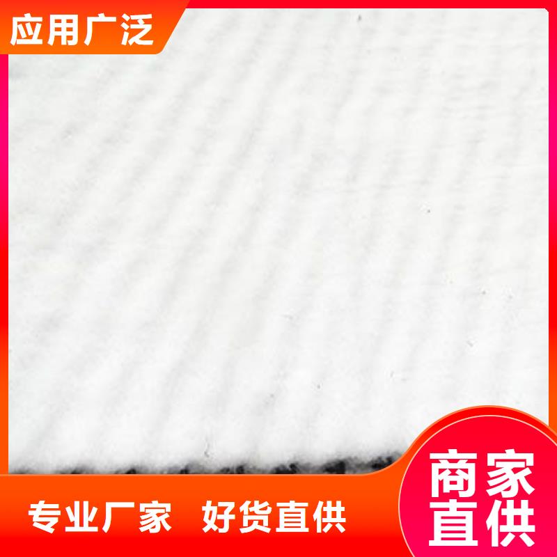 三维复合排水网_【三维土工网垫】现货销售