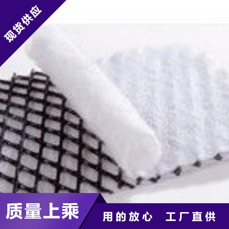 三维复合排水网凸结点钢塑土工格栅批发货源