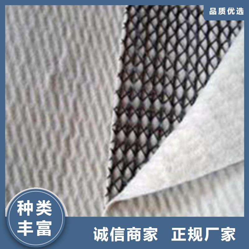 三维复合排水网_【三维土工网垫】现货销售