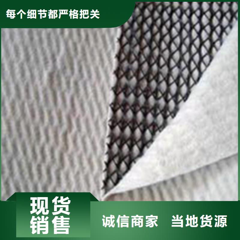 三维复合排水网_【三维土工网垫】现货销售