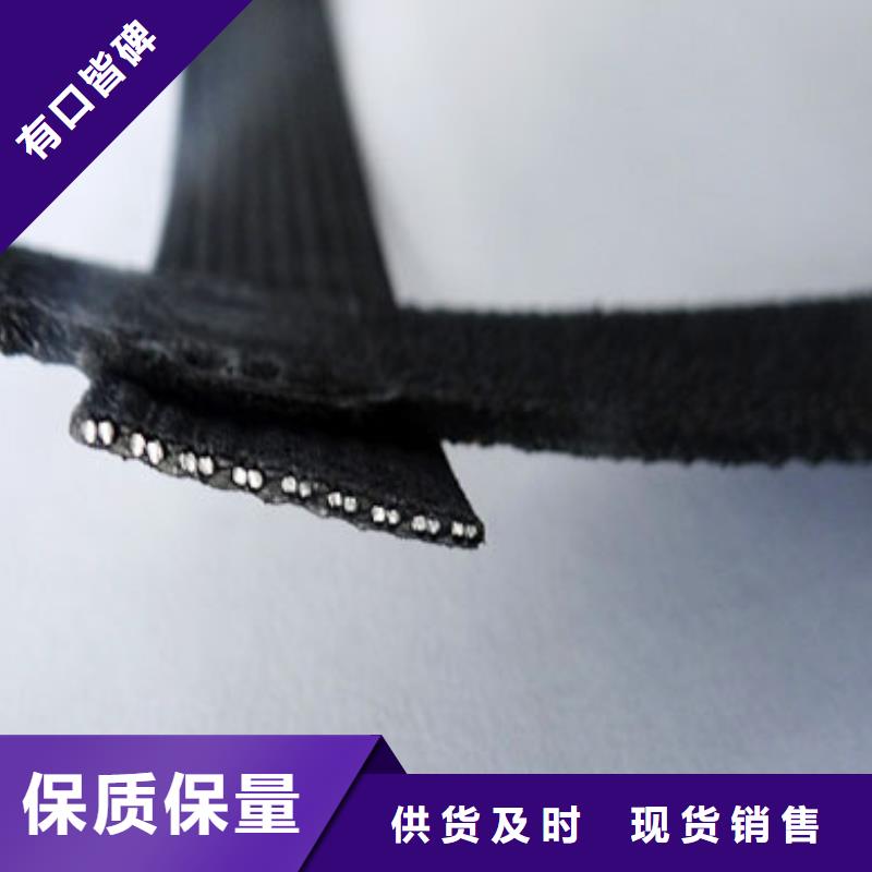钢塑土工格栅_加筋布定金锁价