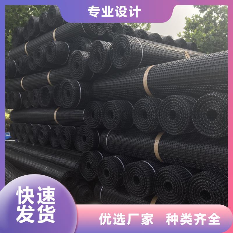 塑料土工格栅双向塑料土工格栅来图定制量大从优