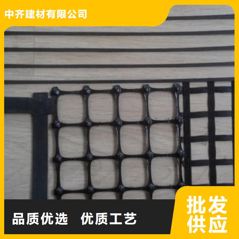 塑料土工格栅双向塑料土工格栅来图定制量大从优