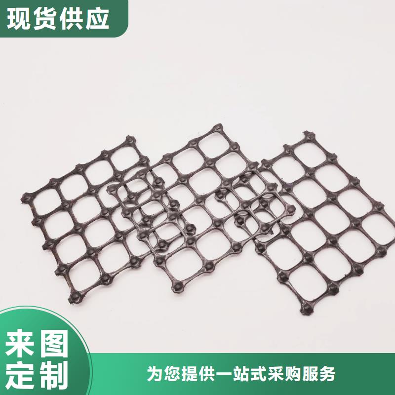 塑料土工格栅双向塑料土工格栅来图定制量大从优