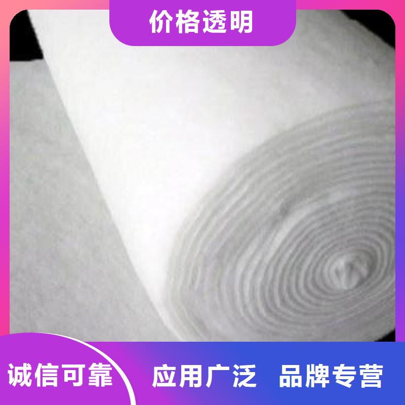 短丝土工布视频-甘肃省定西市|岷县|渭源|陇南|嘉峪关|金昌|平凉|白银|临夏|兰州短丝土工布-中齐