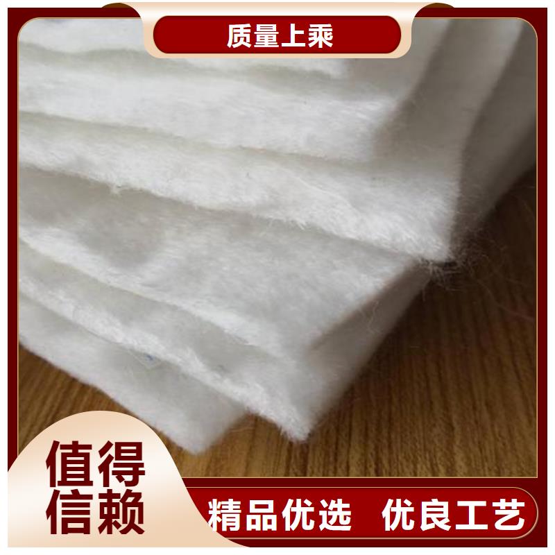 短丝土工布视频-甘肃省定西市|岷县|渭源|陇南|嘉峪关|金昌|平凉|白银|临夏|兰州短丝土工布-中齐