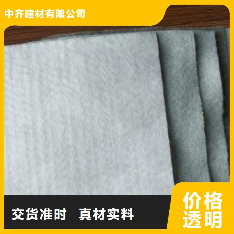 短丝土工布视频-甘肃省定西市|岷县|渭源|陇南|嘉峪关|金昌|平凉|白银|临夏|兰州短丝土工布-中齐