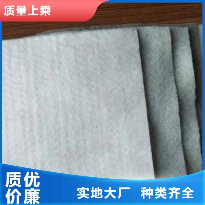 长丝土工布厂家报价单价厂家直销