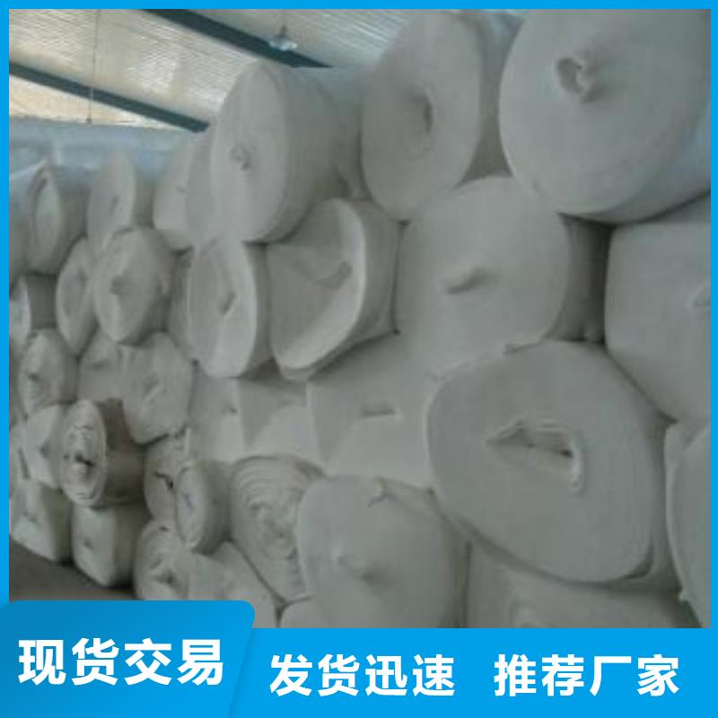 短丝土工布视频-甘肃省定西市|岷县|渭源|陇南|嘉峪关|金昌|平凉|白银|临夏|兰州短丝土工布-中齐