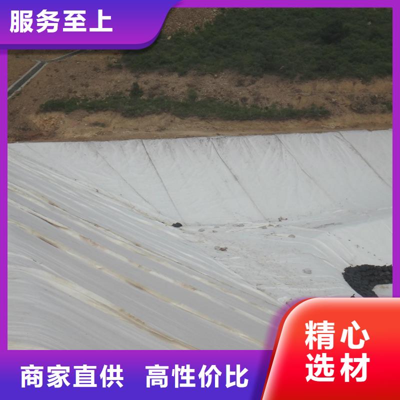 短丝土工布视频-甘肃省定西市|岷县|渭源|陇南|嘉峪关|金昌|平凉|白银|临夏|兰州短丝土工布-中齐
