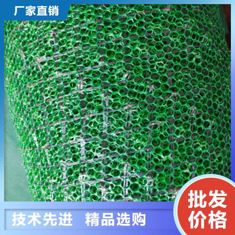 三维植被网玻纤土工格栅放心得选择