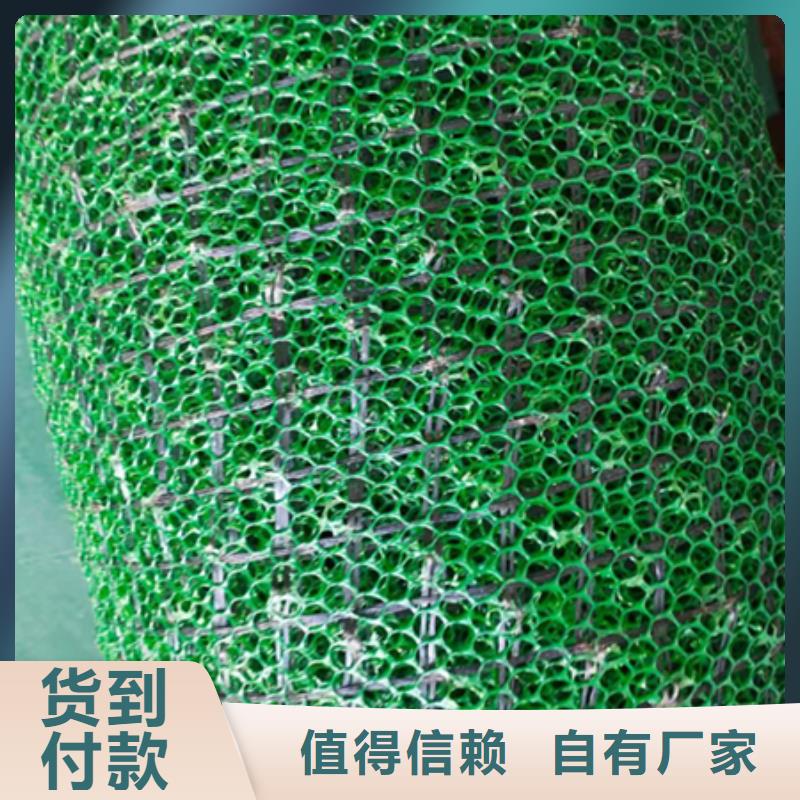 三维植被网双向塑料格栅现货充足