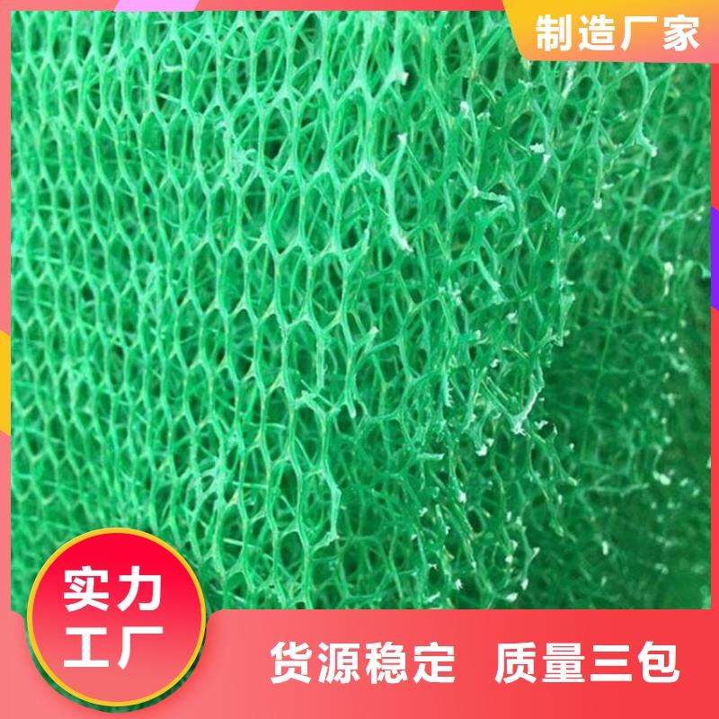 三维植被网三维土工网垫经验丰富质量放心