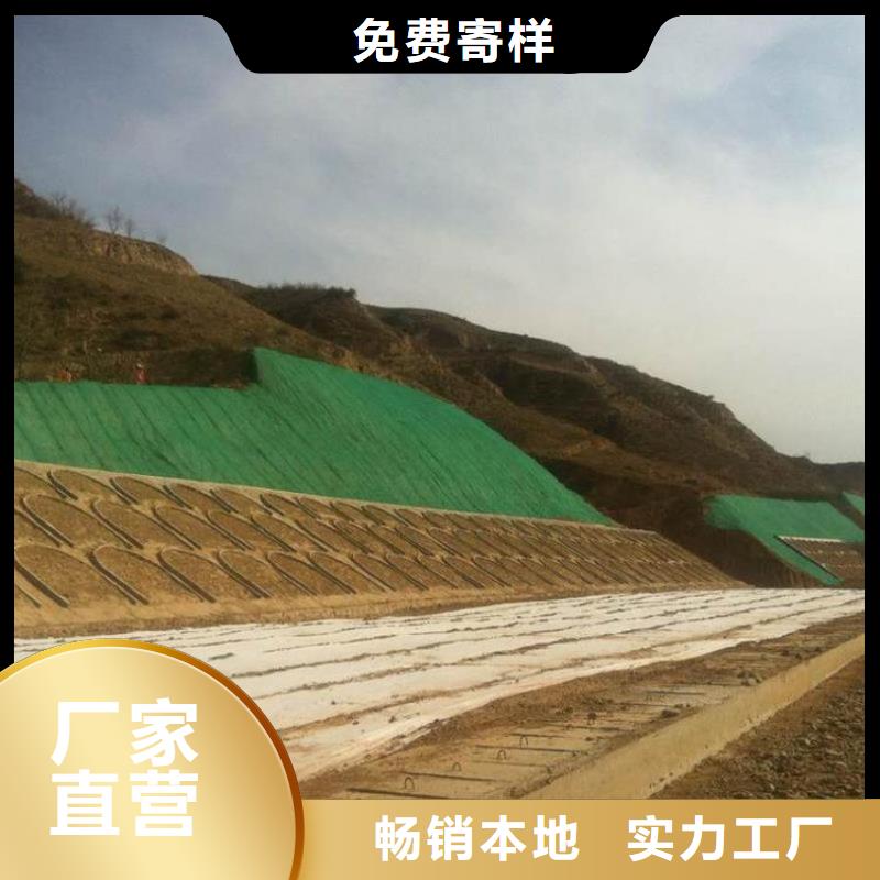 三维植被网膨润土防水垫多种规格可选