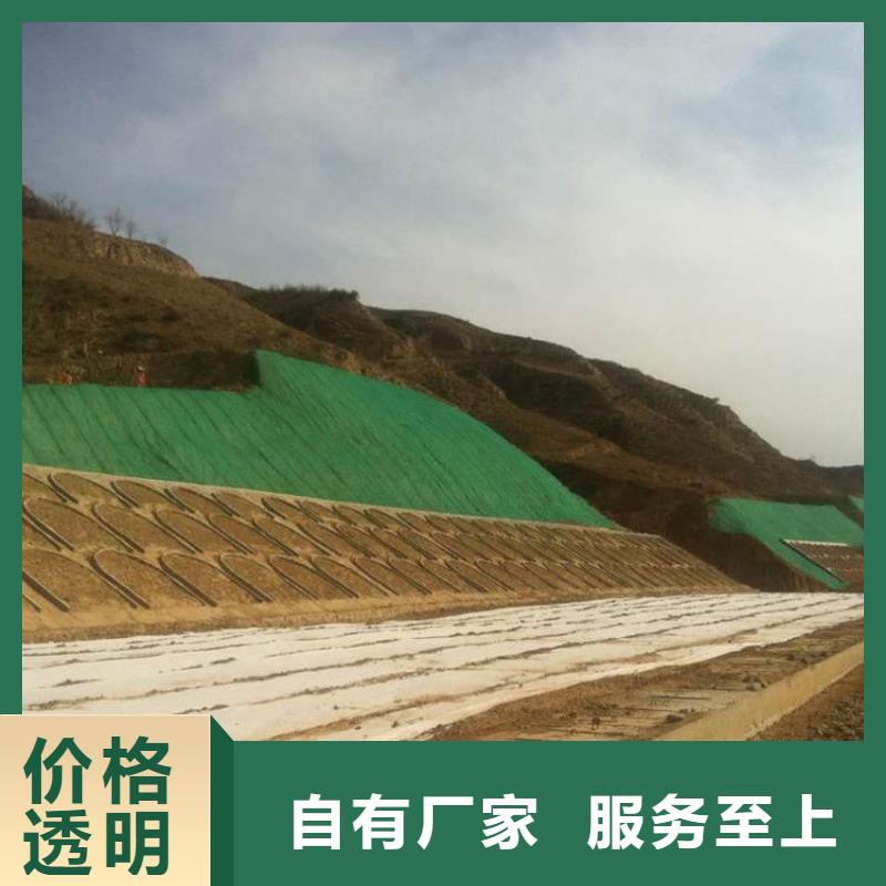 短丝土工布视频-广东省|潮州|东莞|阳江|深圳|汕头|梅州|韶关短丝土工布-中齐