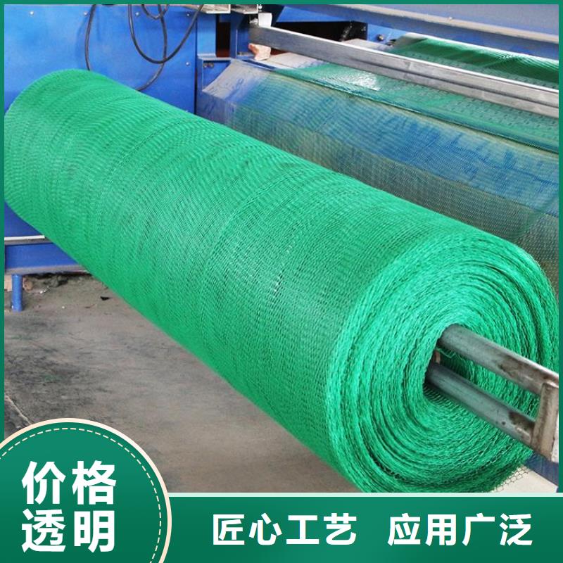 三维植被网双向塑料格栅现货充足