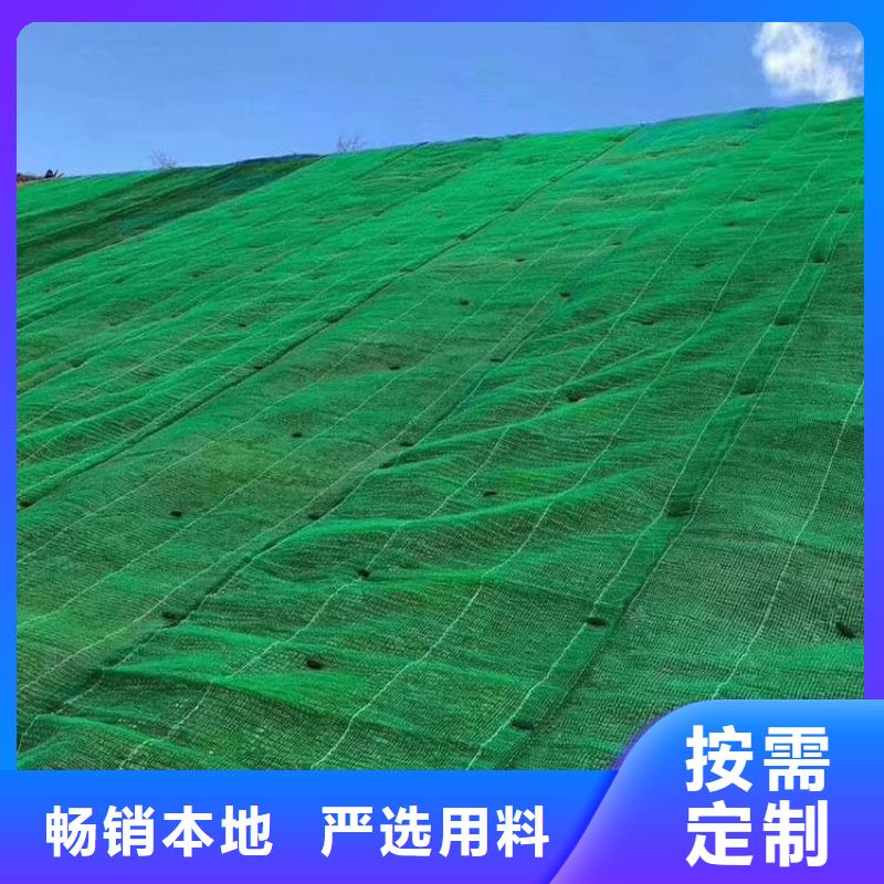 三维植被网土工格室海量货源