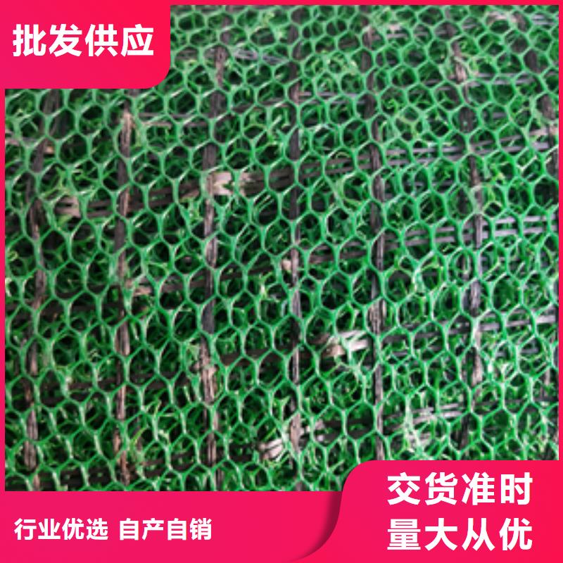 三维植被网_护坡土工网优选厂商