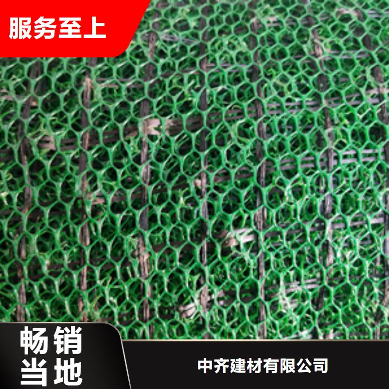 三维植被网,土工布随到随提