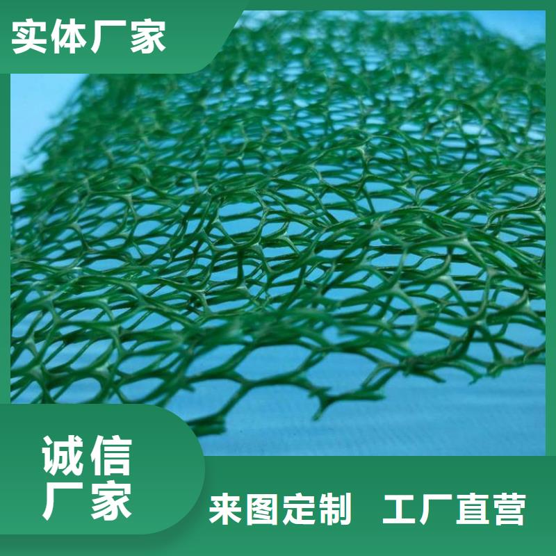 三维植被网,土工布随到随提