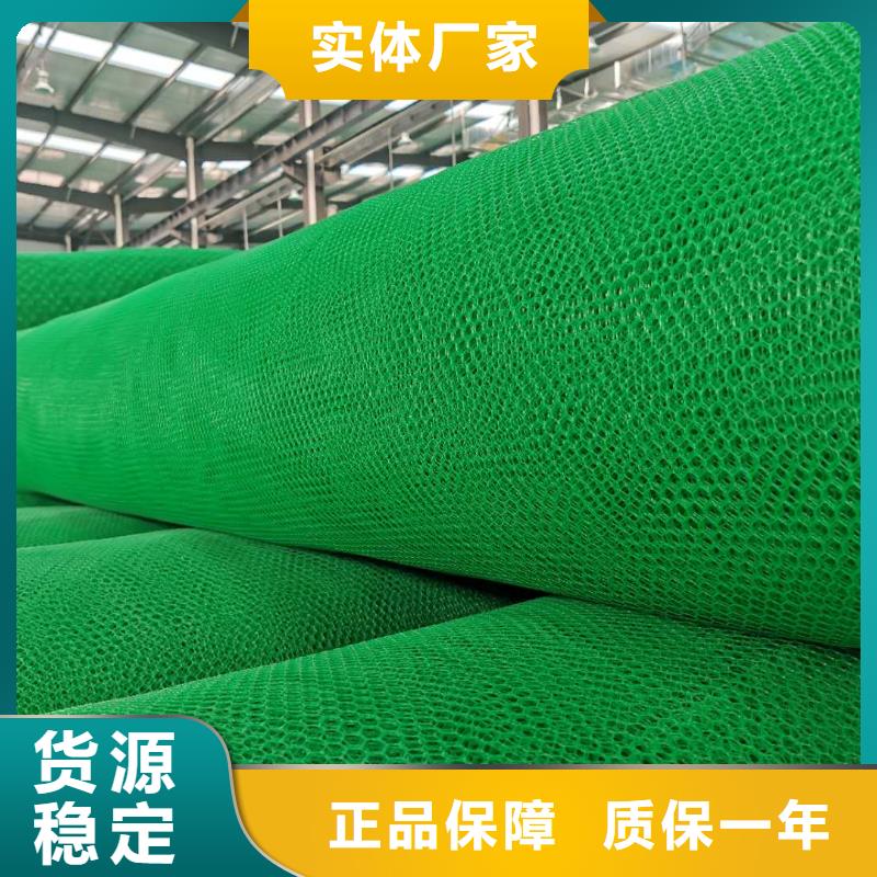三维植被网双向塑料格栅现货充足