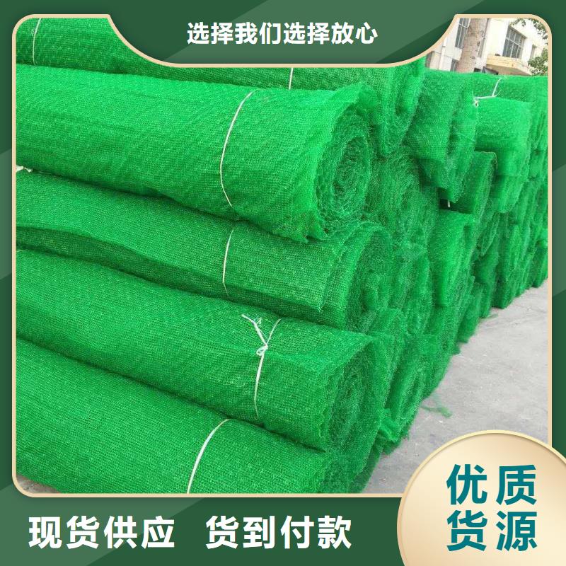 三维植被网,土工布随到随提