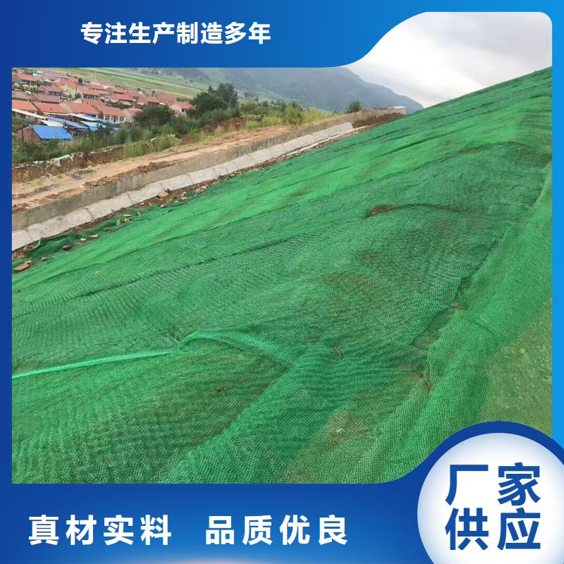 三维植被网双向塑料格栅现货充足