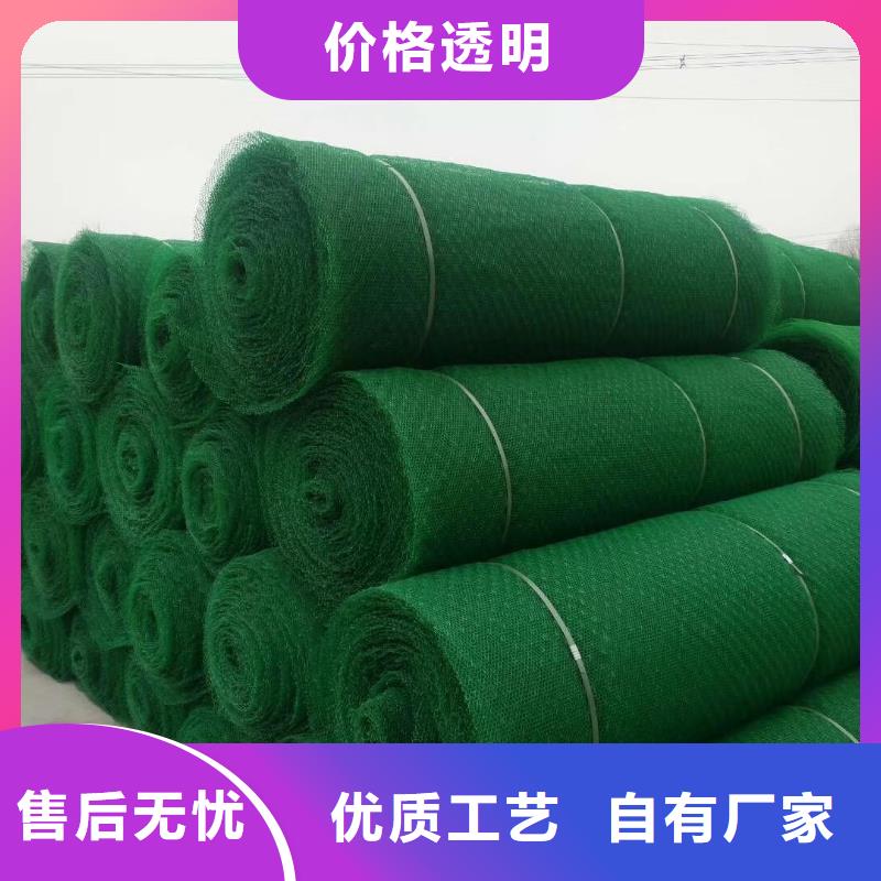 三维植被网双向塑料格栅现货充足