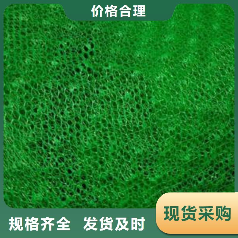 三维植被网-土工格室实体诚信厂家