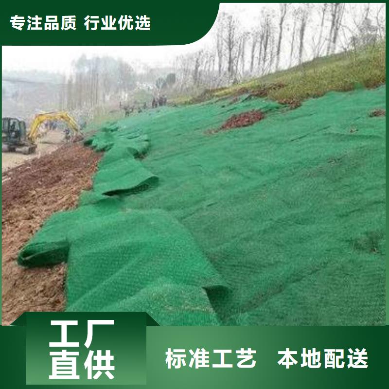 三维植被网_护坡土工网优选厂商